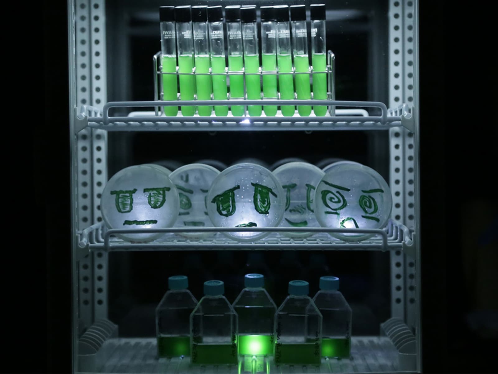 S+T+ARTS Prize winner 2017 I&apos;m Humanity