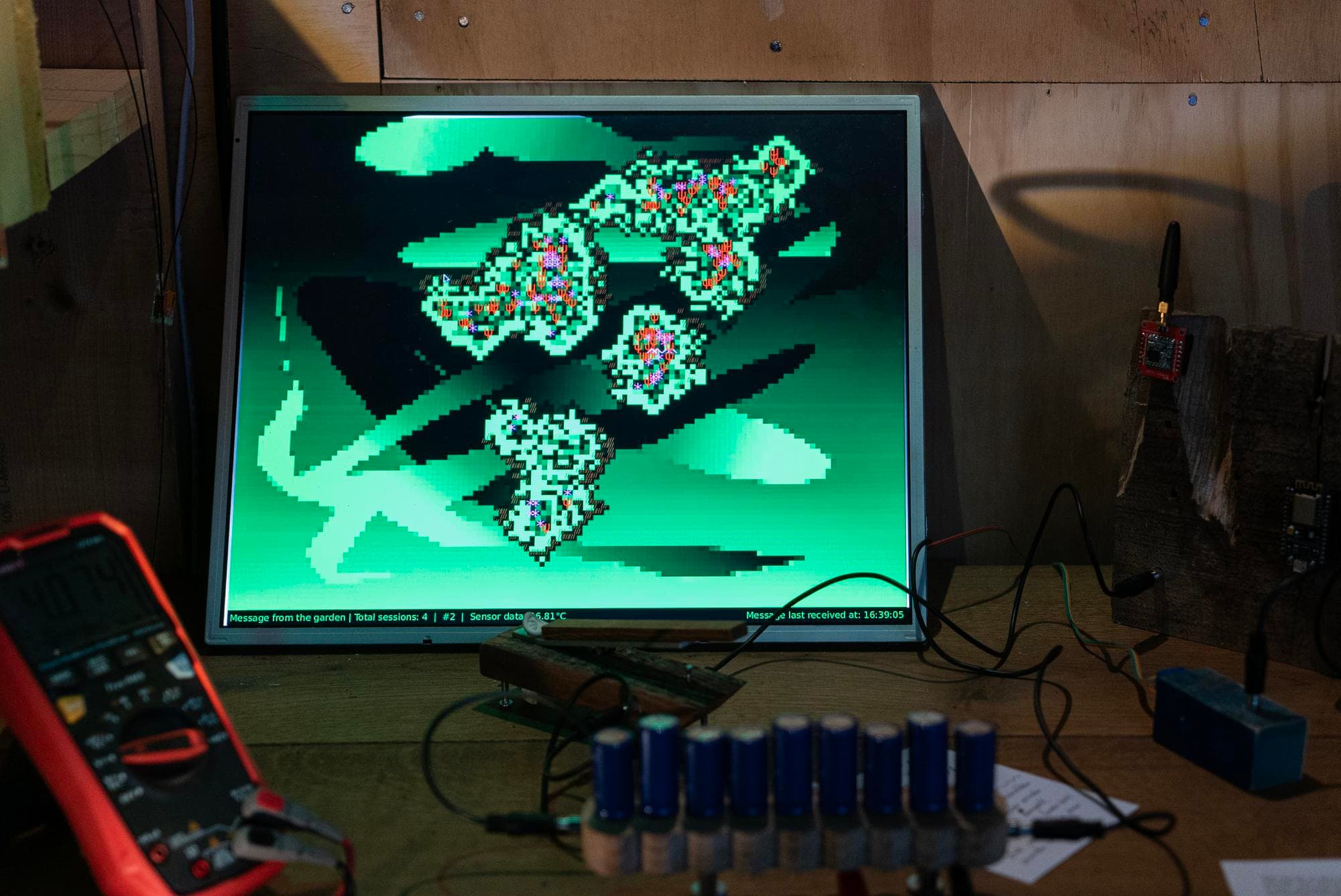 Electric Garden, Sunjoo Lee