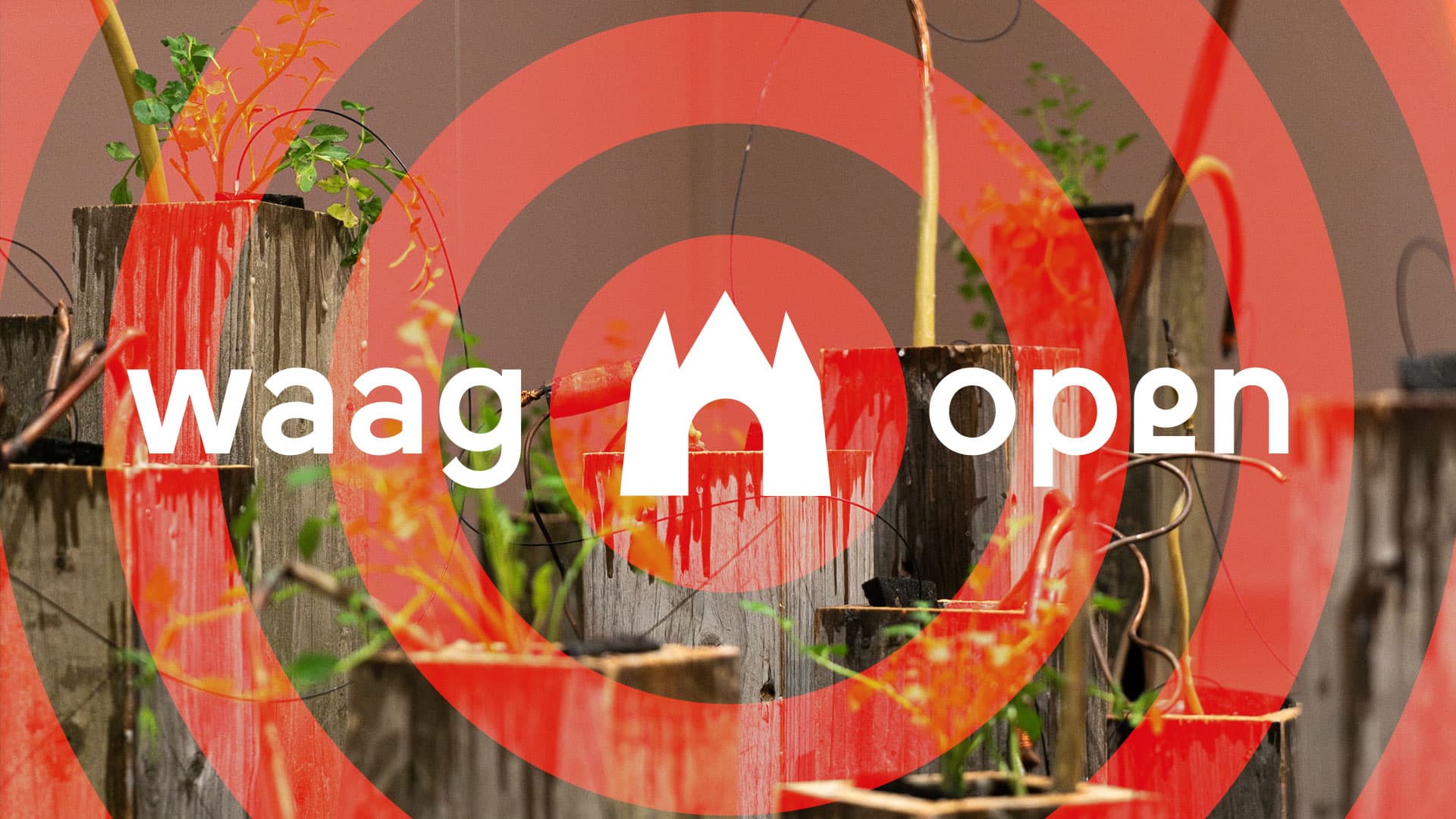 Waag Open electric garden