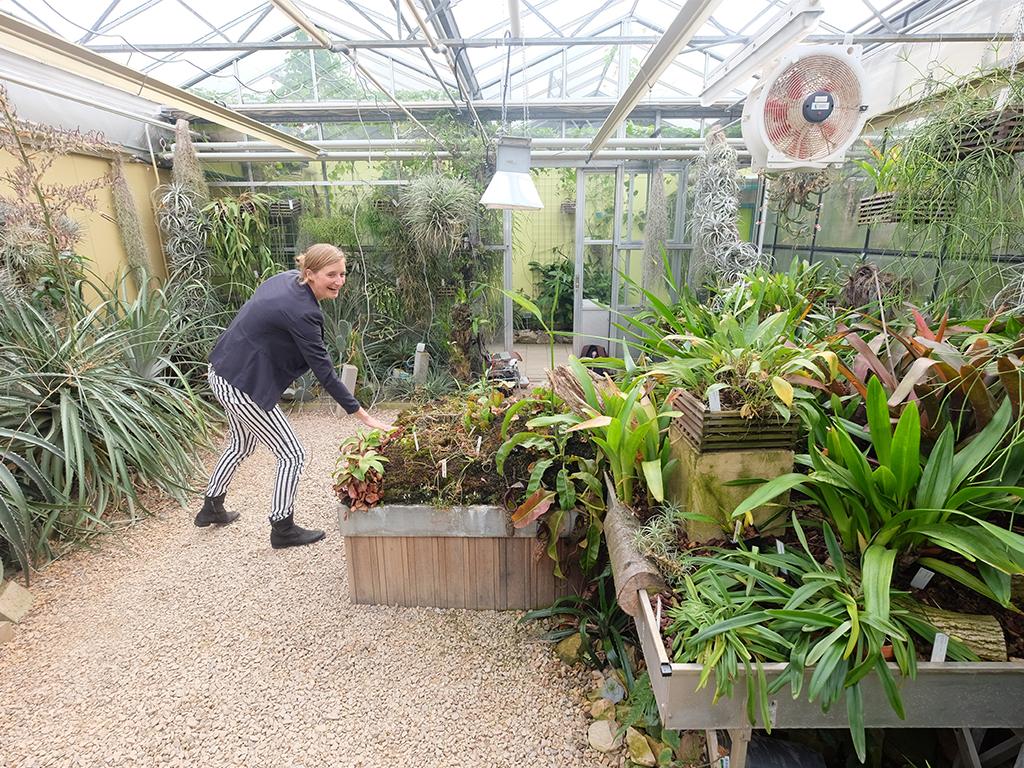 Botanische_Tuinen