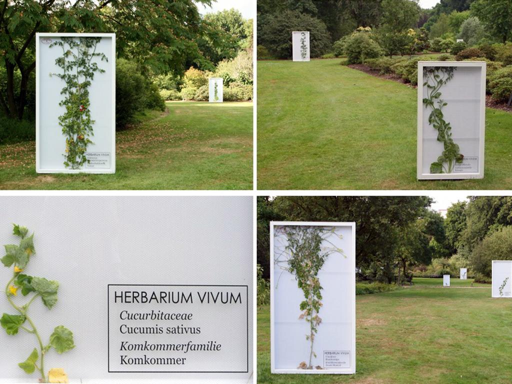 Herbarium Vivum