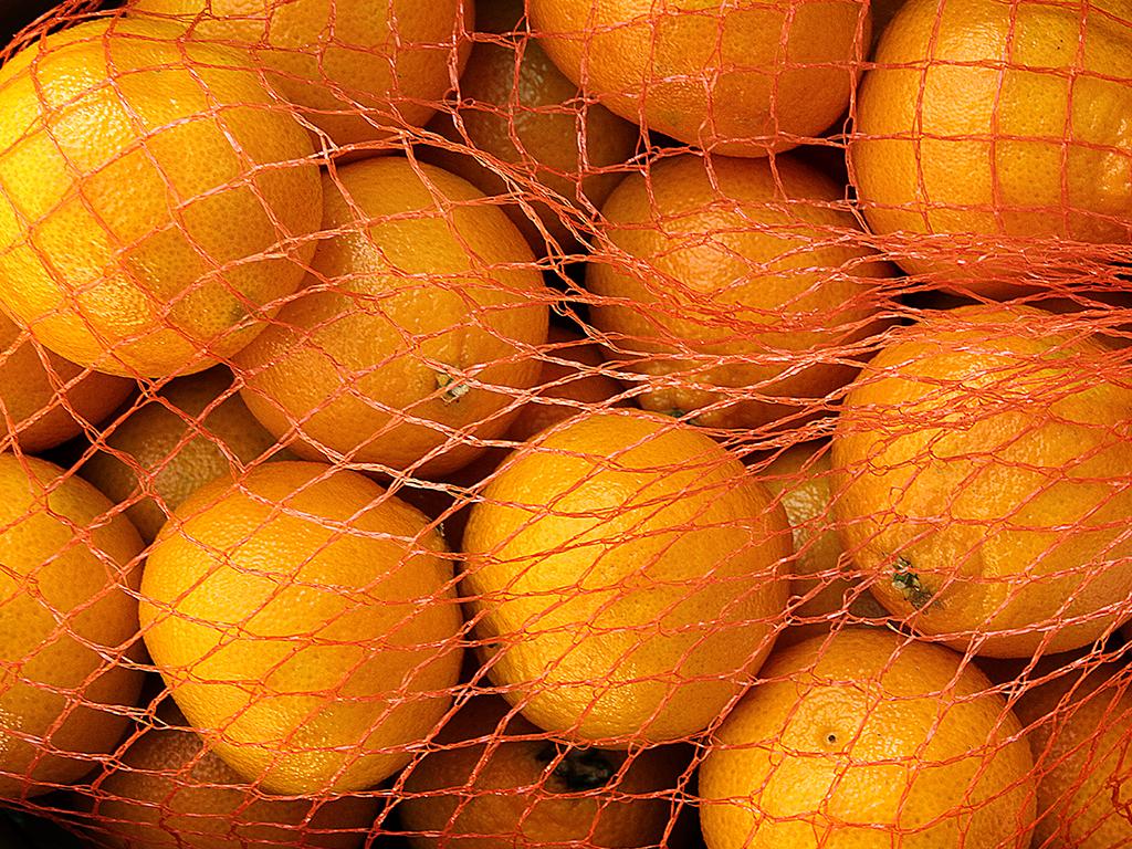 Netted - mandarin net