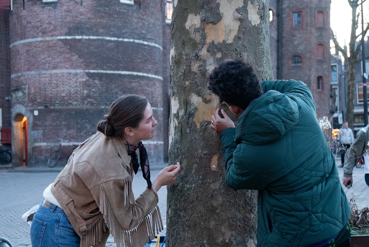 Twee mensen staan bij een plataan (boom). Ze bekijken de boomschors van dichtbij.
