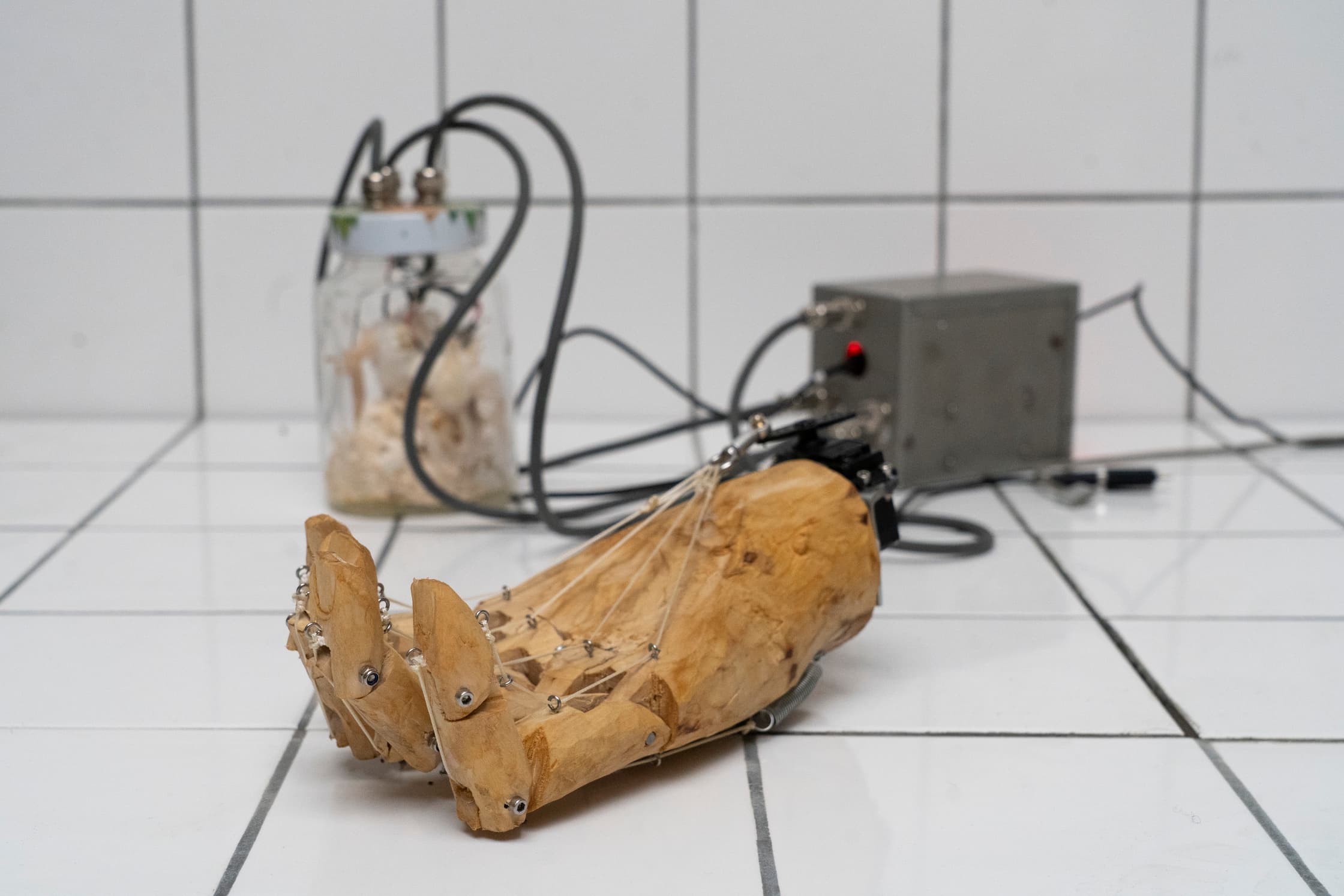 Robotische arm vanhout